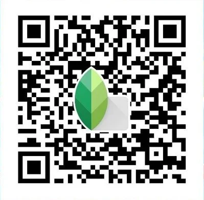 4K face smooth Snapseed QR preset