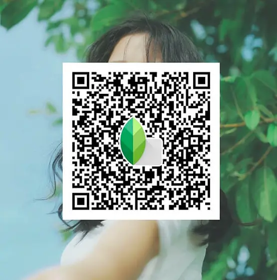 Moody Cool Portrait Snapseed Preset