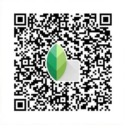 simple skin smooth Snapseed QR preset

