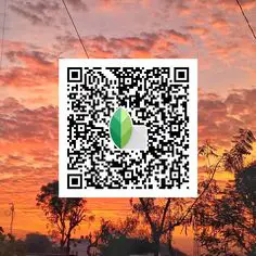 सनसेट पोर्ट्रेट Snapseed QR