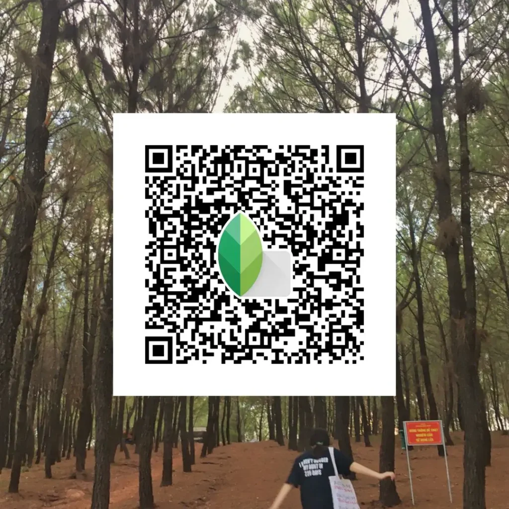 Apple‑style color look with Snapseed QR