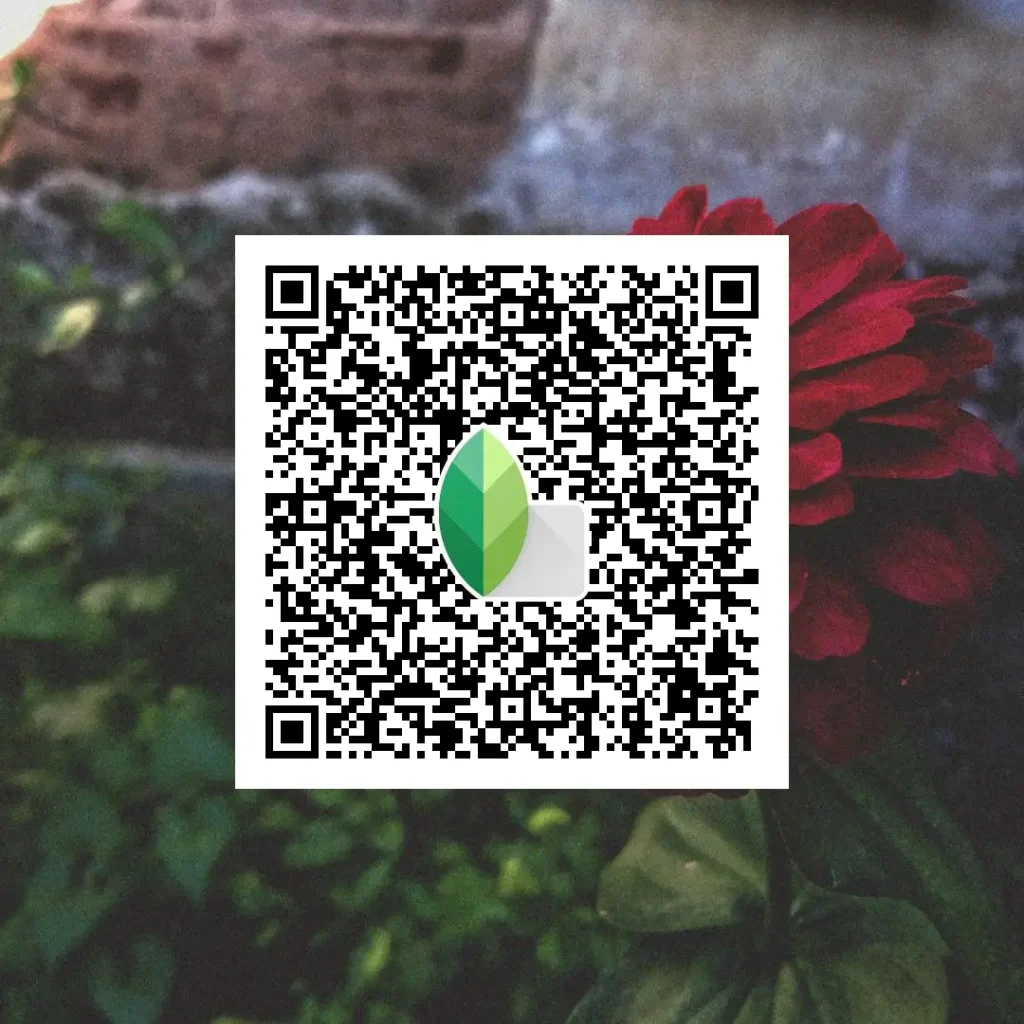 Green tone photo edited using Snapseed QR Codes HD 4K
