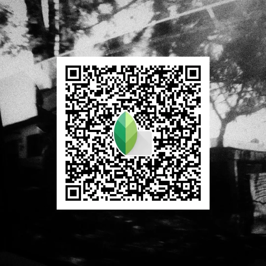 HD 4K black and white Snapseed QR code preset