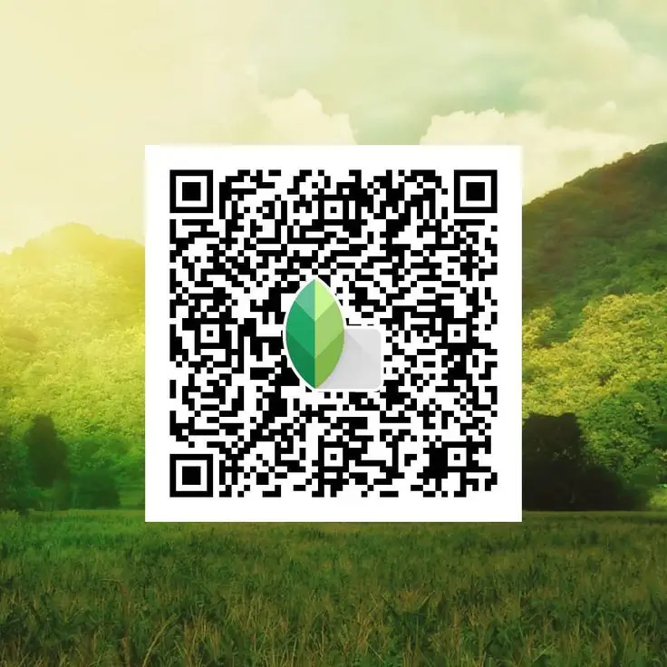 Mobile photo edited with Snapseed DSLR QR code preset for realistic camera‑style look