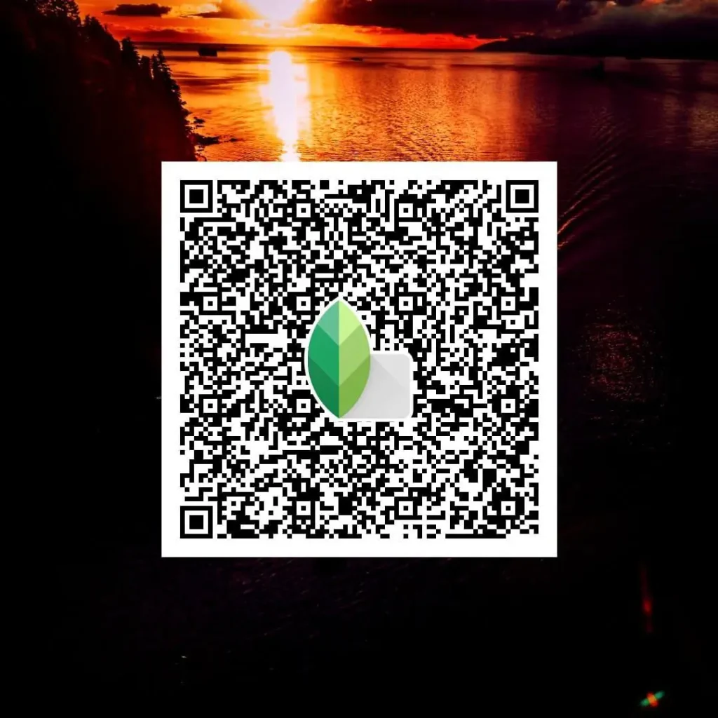 Night-Time-Aesthetic-Snapseed-QR-Code