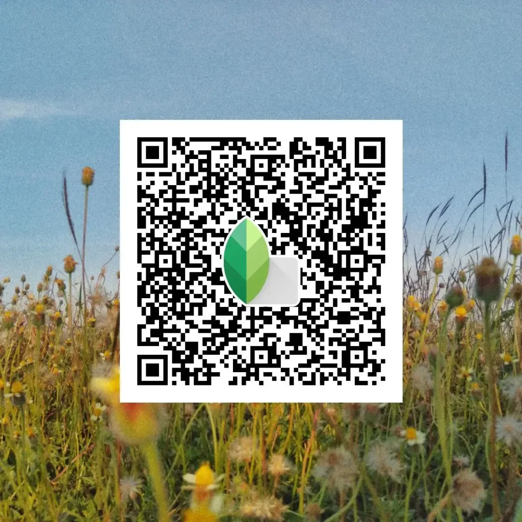 Outdoor Snapseed Editing QR Codes