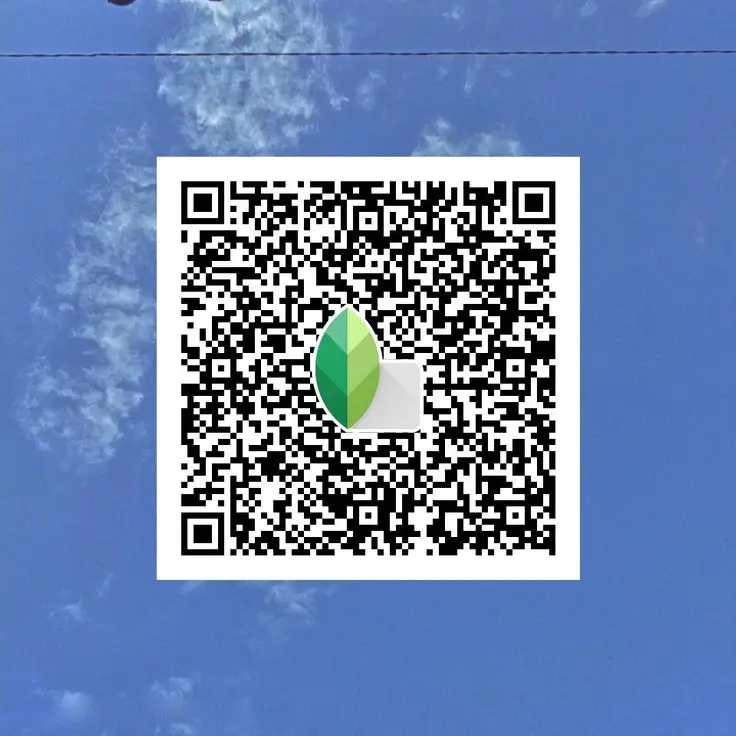 Professional cinematic Snapseed QR code