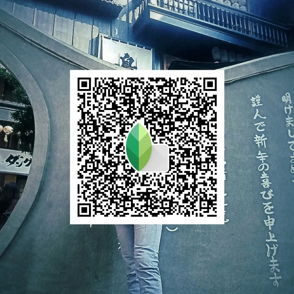 Snapseed Cinematic QR Codes by Photography styles