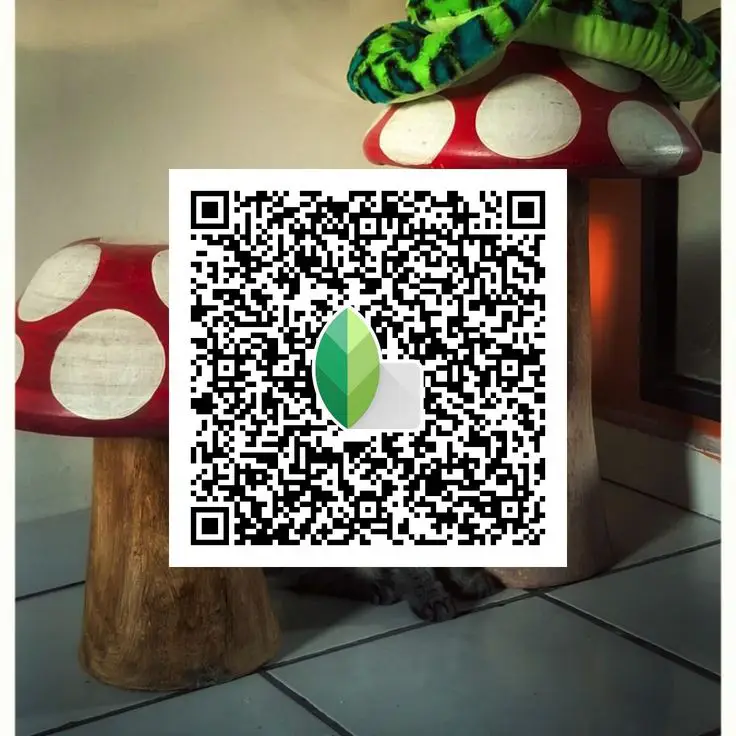 Snapseed-QR-Codes-for-iPhone-Photos-1
