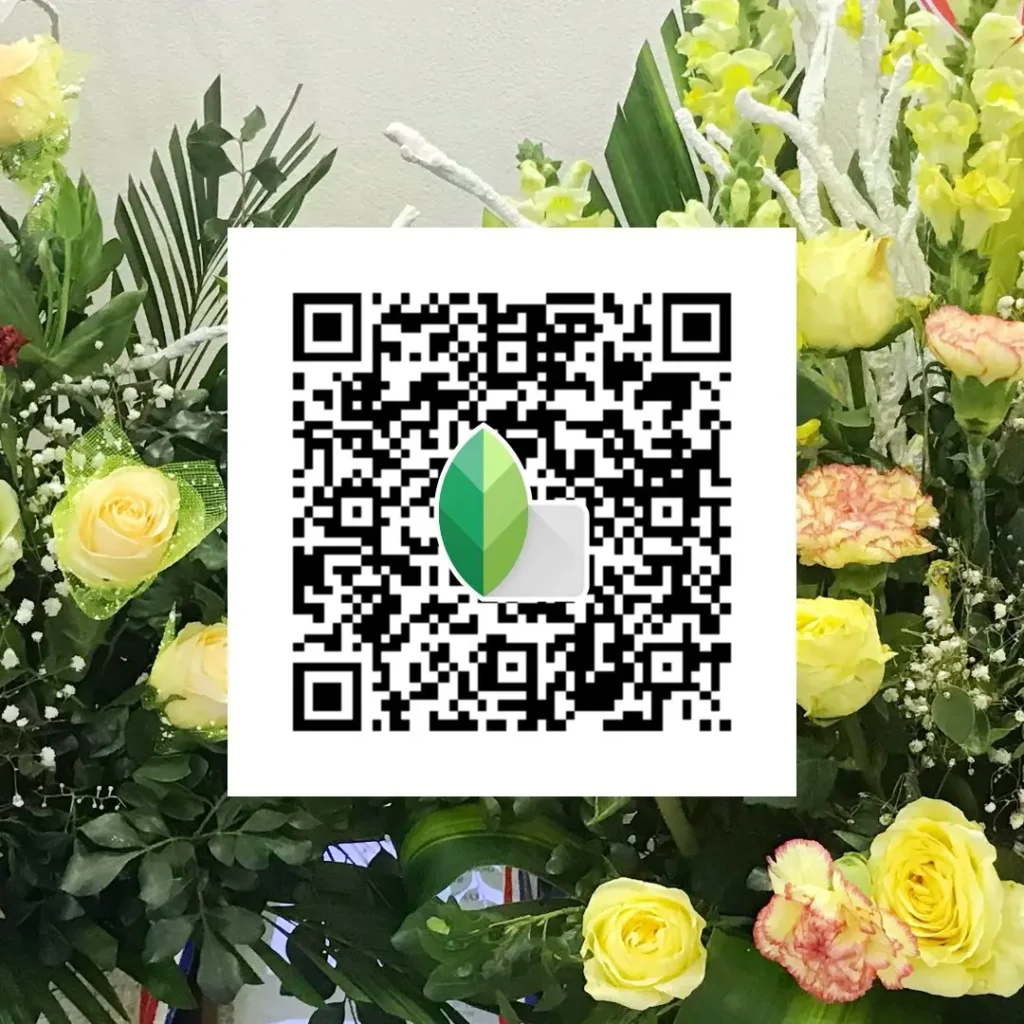 Snapseed QR code iPhone editing ka clean result