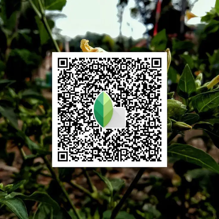 Snapseed QR code preserving highlights in daylight photography