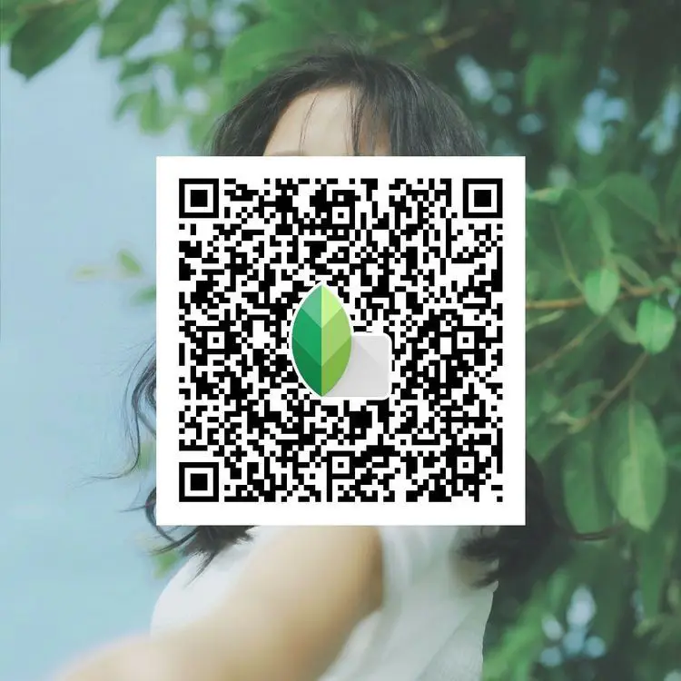 Snapseed QR code preset preview showing DSLR‑inspired contrast and tones