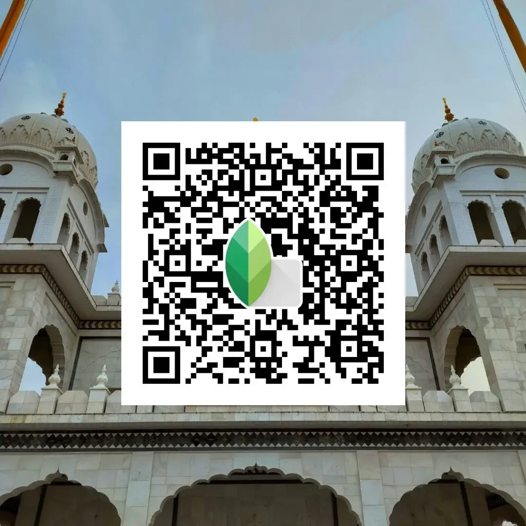 Snapseed QR preset creating gentle background blur feel