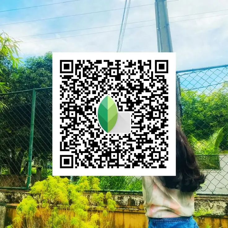 Snapseed QR preset showing realistic colors and camera‑style clarity