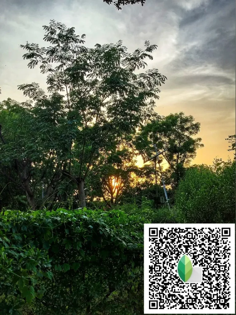 Snapseed QR कोड से एडिट की गई प्राकृतिक फोटो