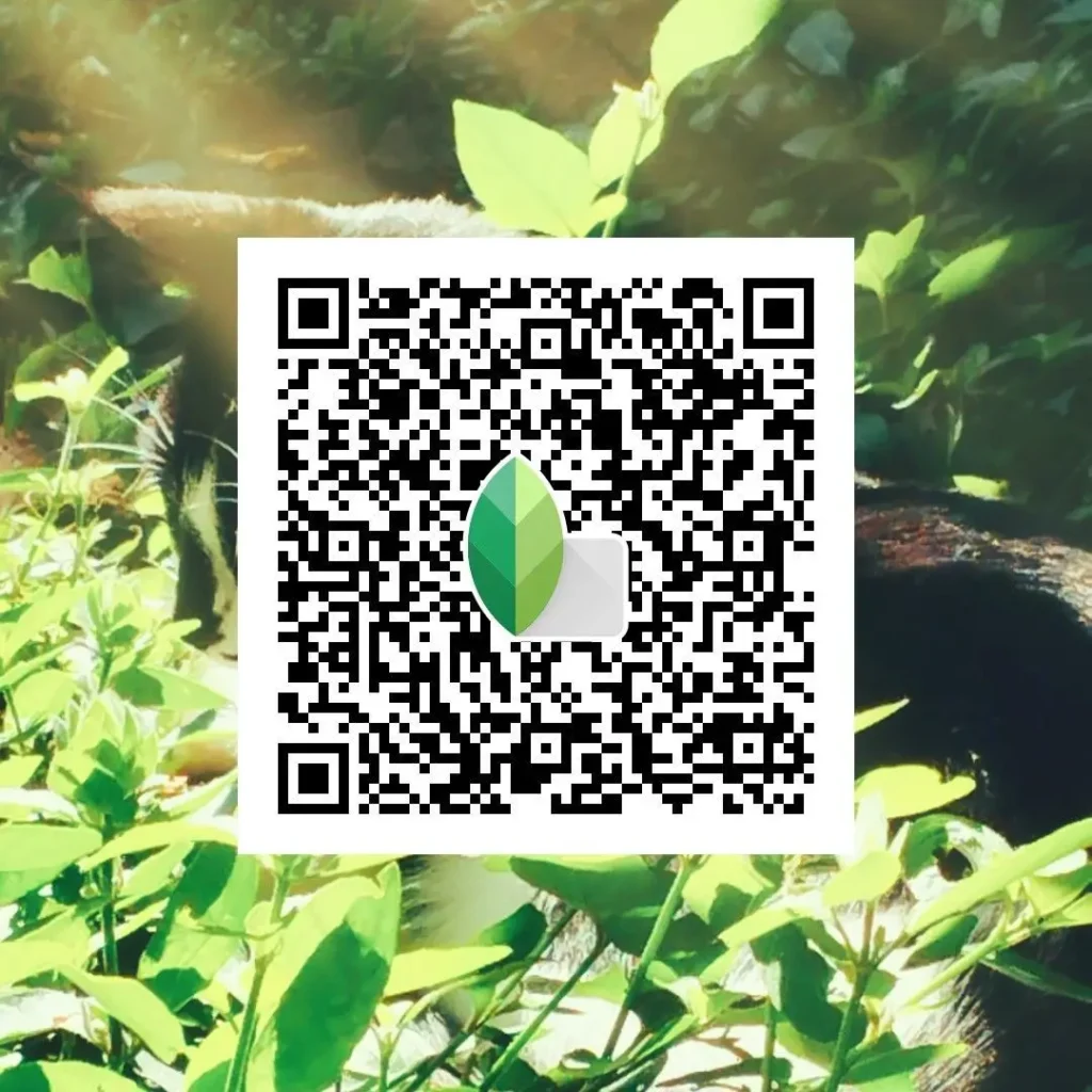 Snapseed QR कोड से एडिट की गई हरियाली वाली फोटो
