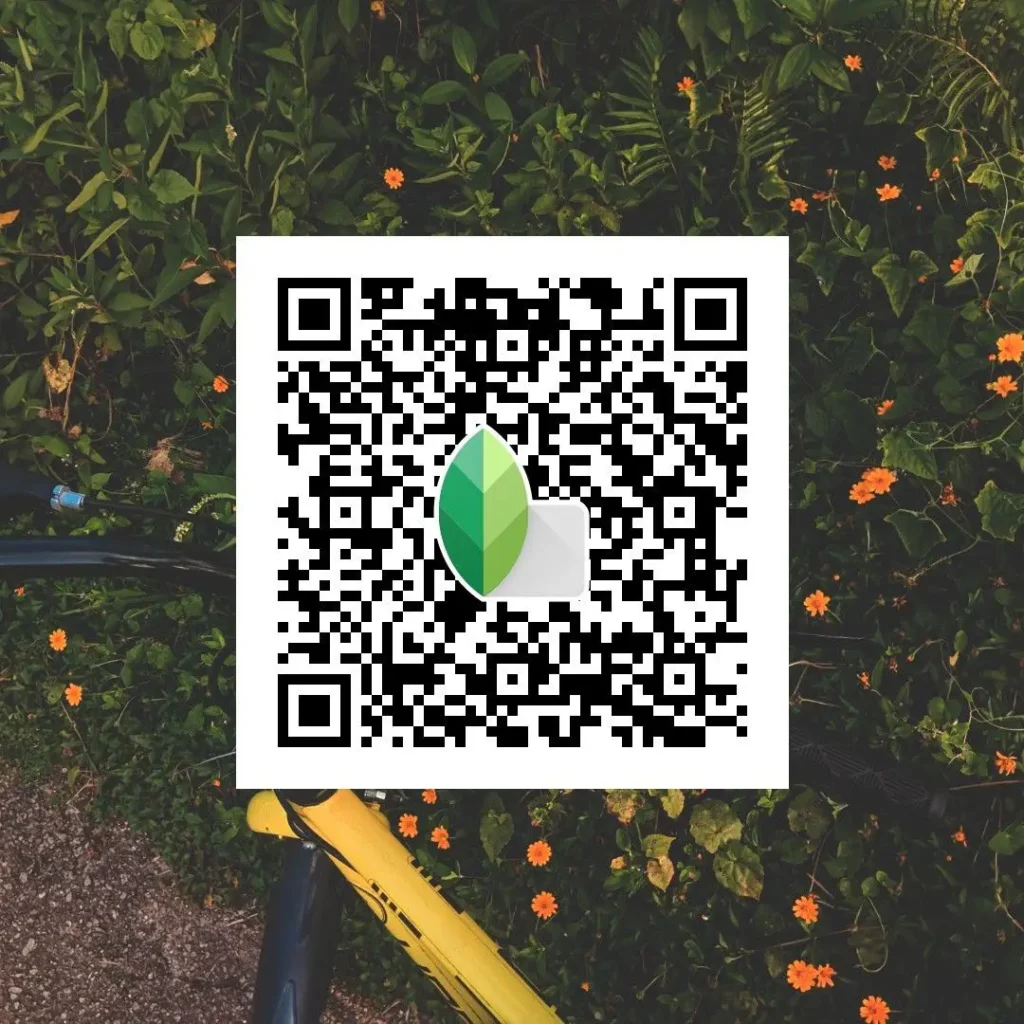 aesthetic old style photo snapseed qr