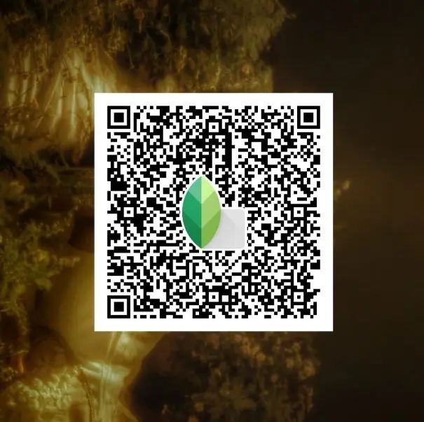 muted tone old style snapseed qr