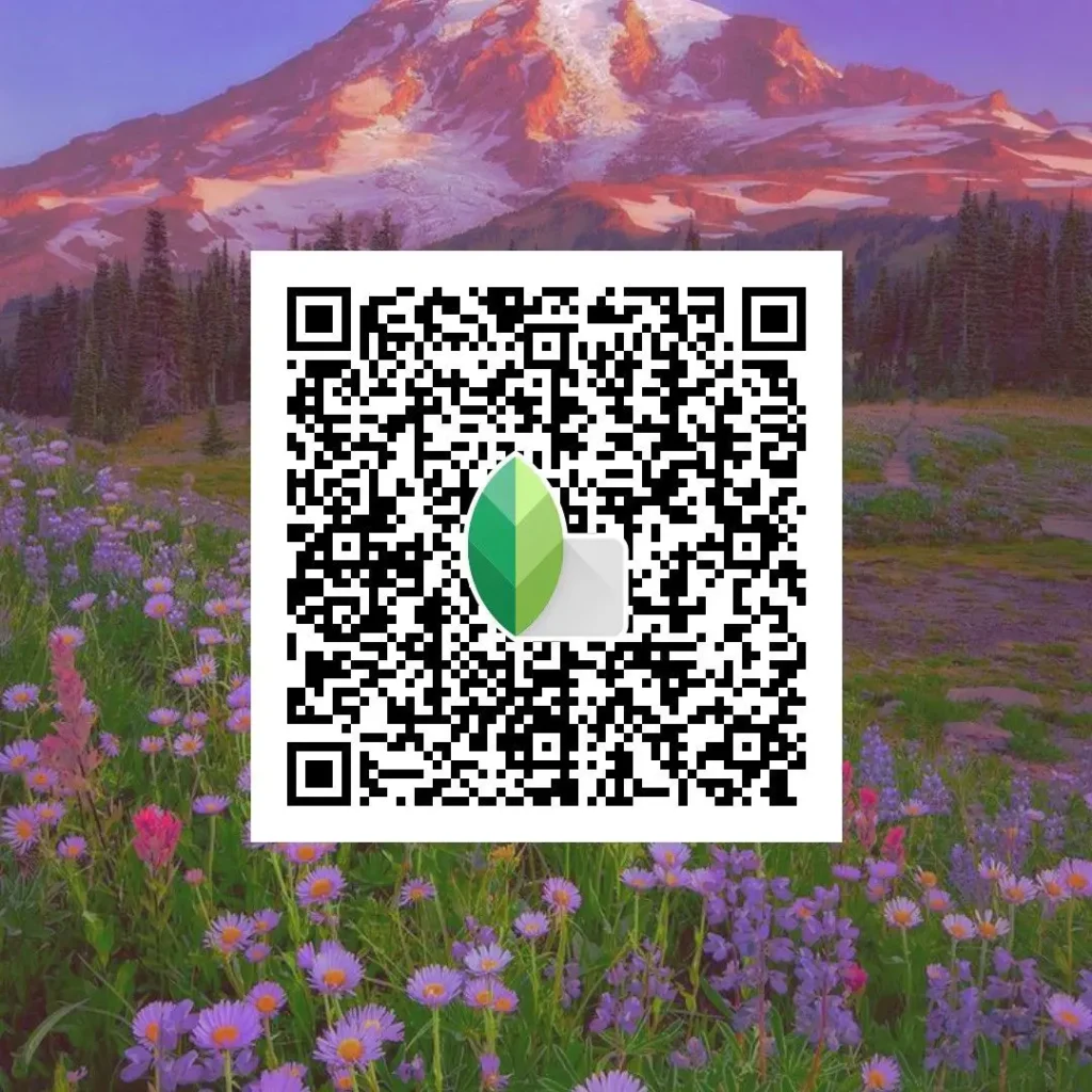 soft grain vintage snapseed qr code