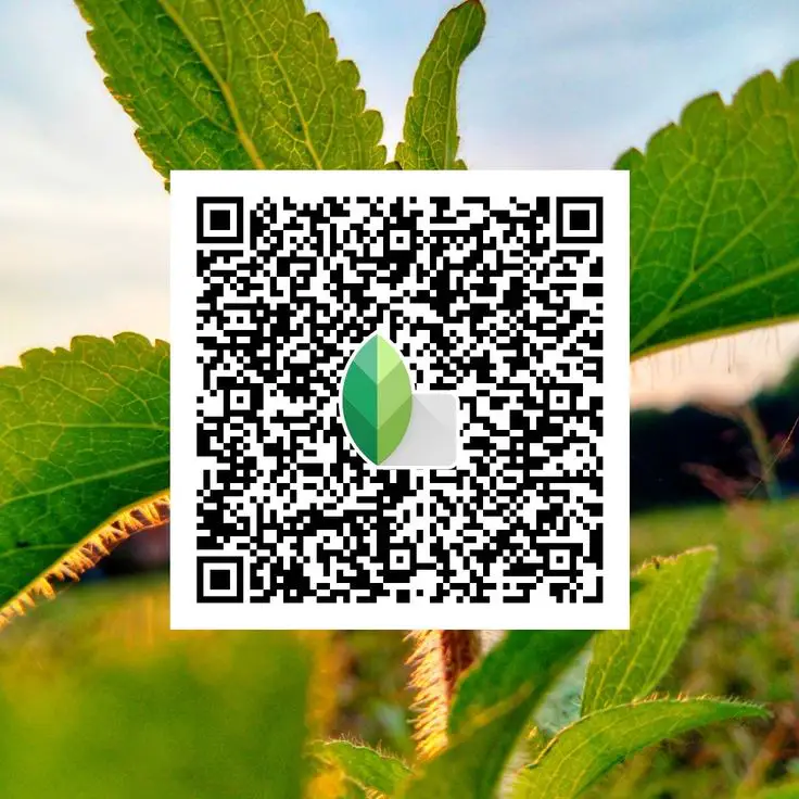 ग्रीन टोन फोटो के लिए HD 4K Snapseed QR कोड