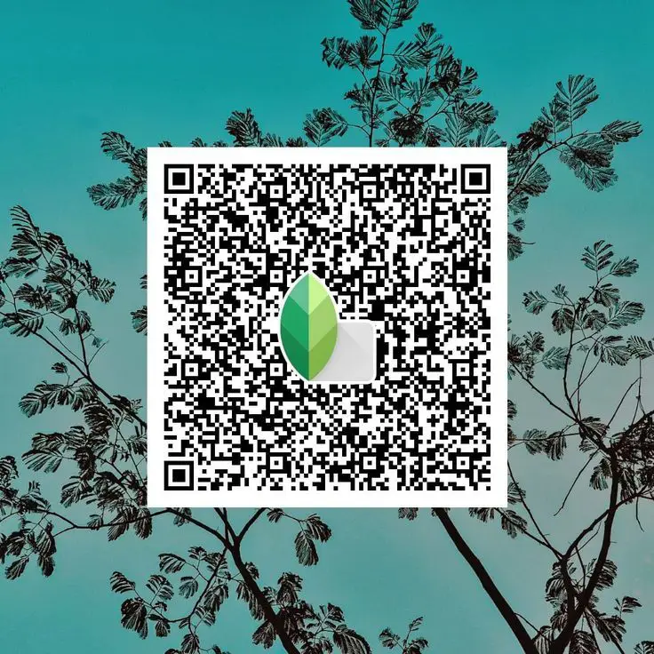 बैकग्राउंड टोन कंट्रोल के लिए सिनेमैटिक Snapseed QR