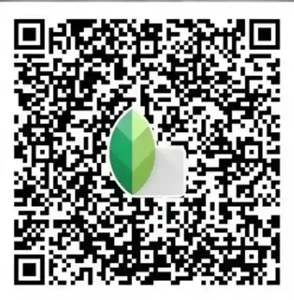 डार्क और मूडी बैकग्राउंड ब्लर Snapseed QR प्रीसेट