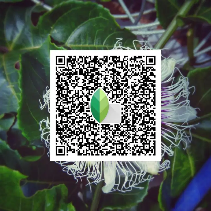 Close‑up red object photo with soft background