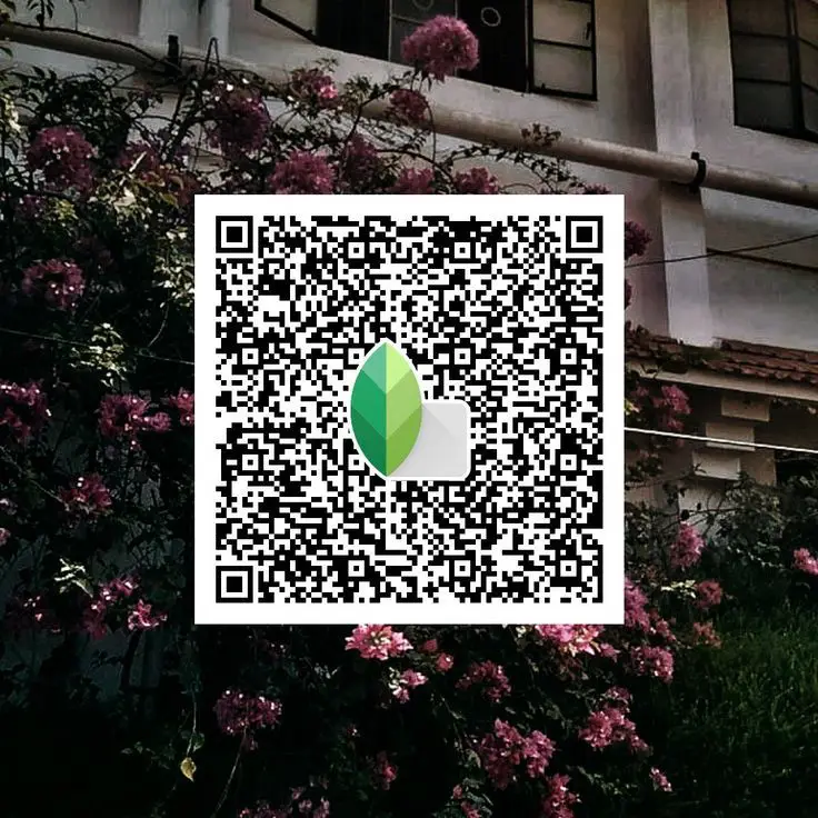 Flower detail edited with red Snapseed preset