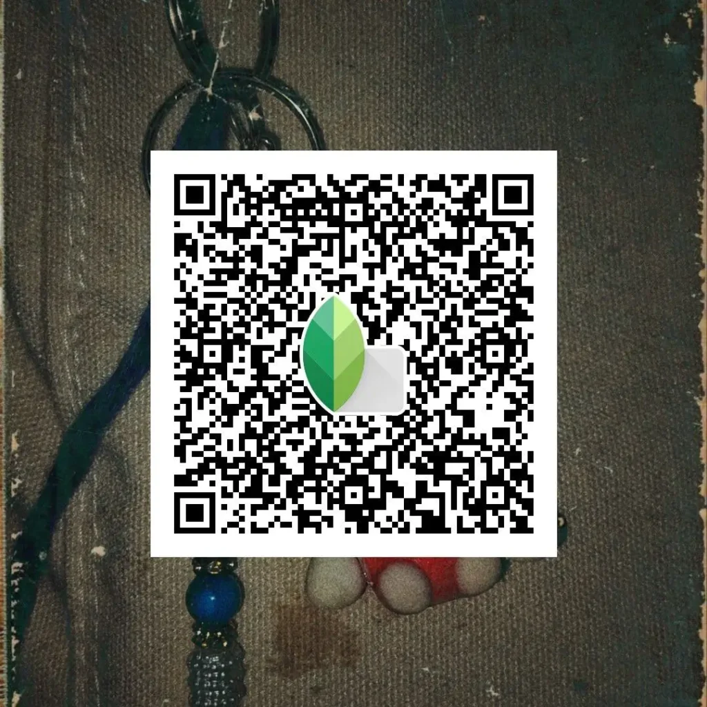 aesthetic monochrome snapseed edit