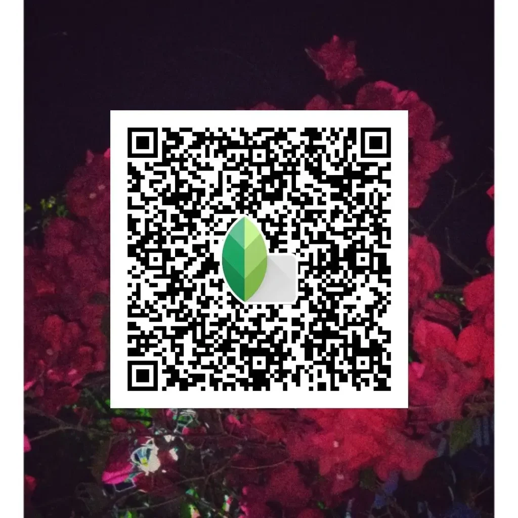 Red rose photo edited with Snapseed QR code
