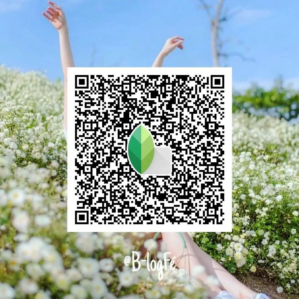 Romantic red Snapseed QR code photo edit