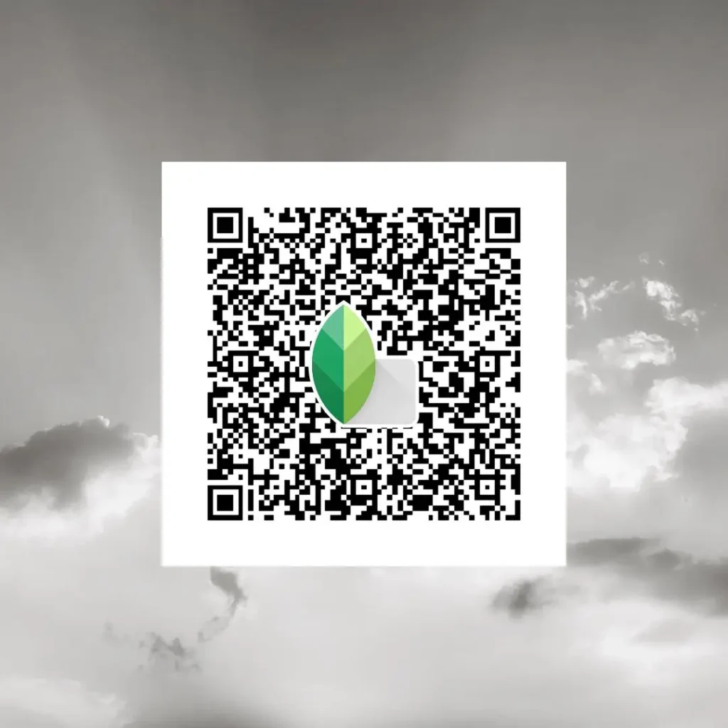 balanced black white snapseed preset