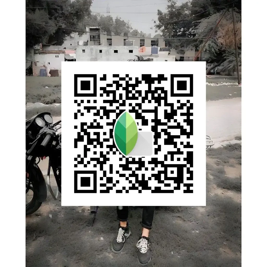 balanced tone bw snapseed preset