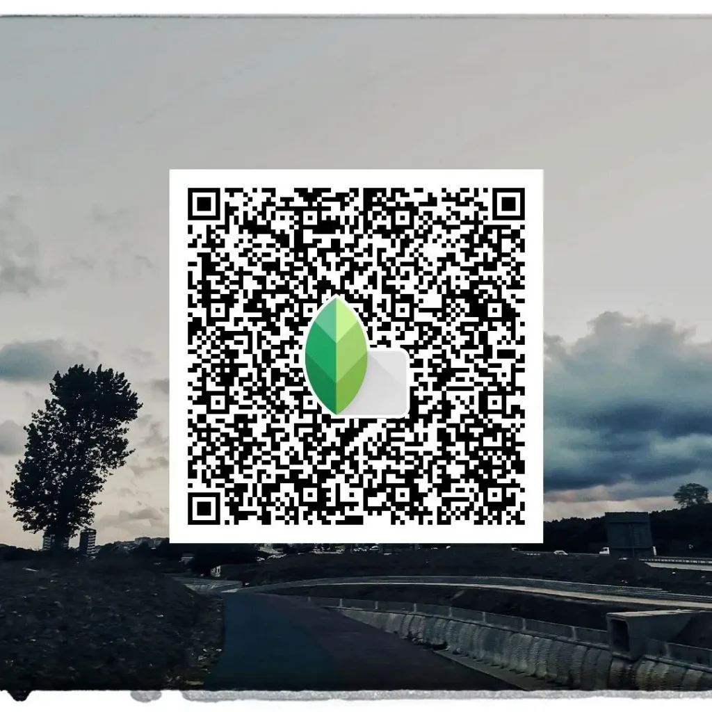 black and white snapseed qr codes