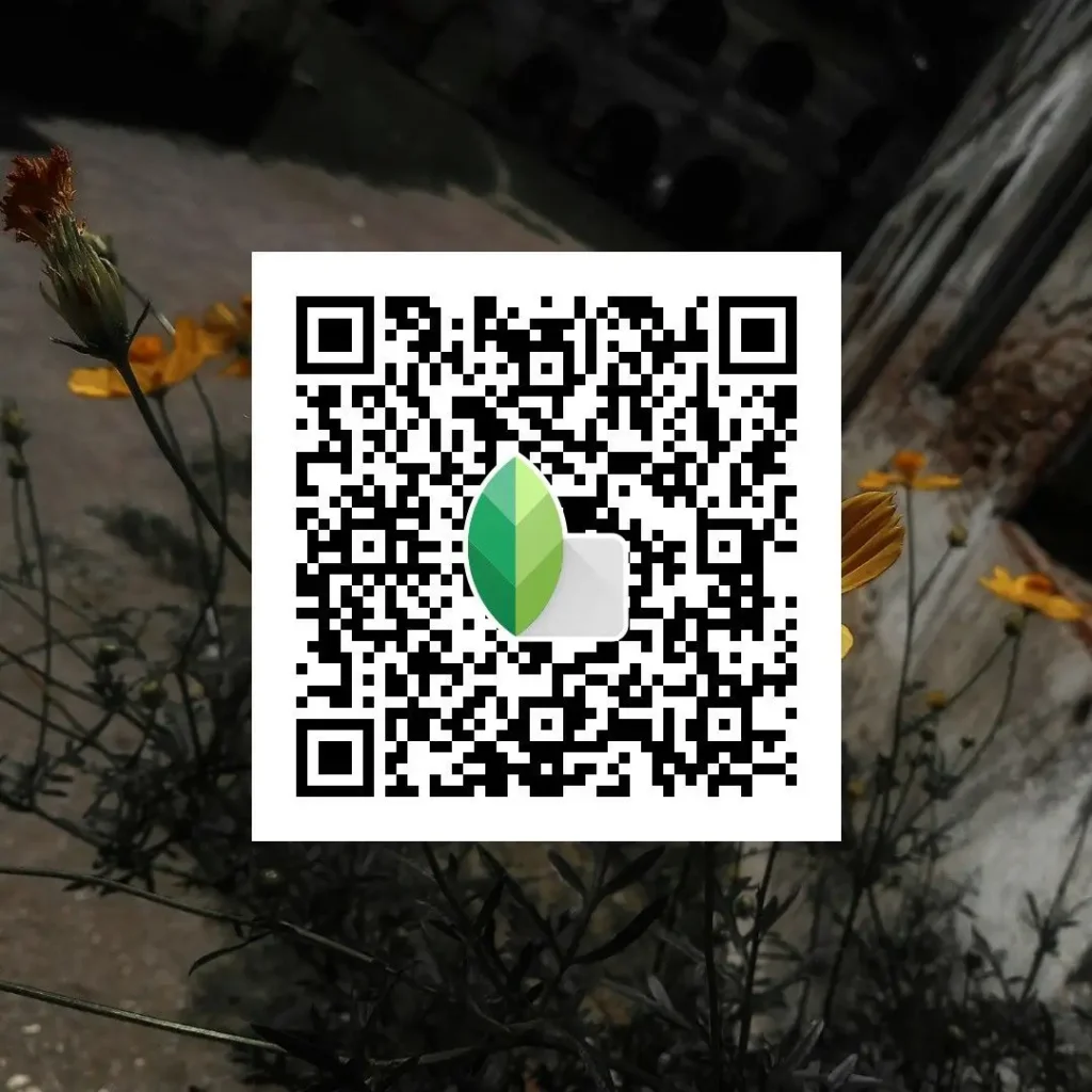 casual black white qr code