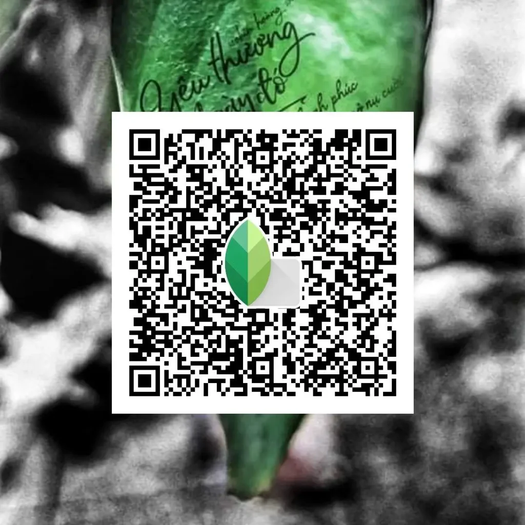 classic black and white snapseed edit