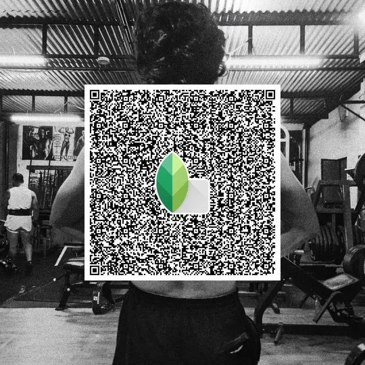 classic black and white snapseed qr code