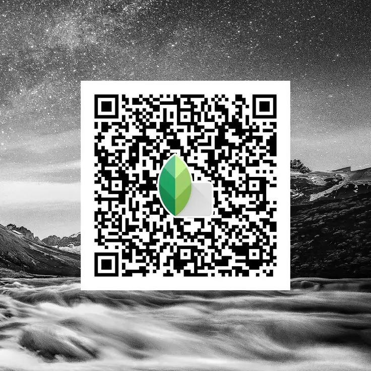 controlled contrast monochrome snapseed