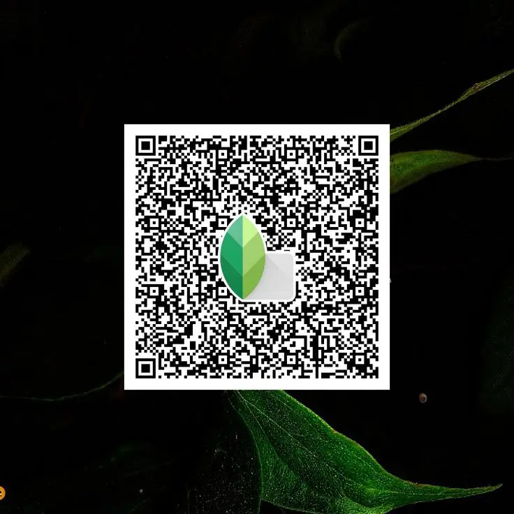 dark monochrome snapseed preset