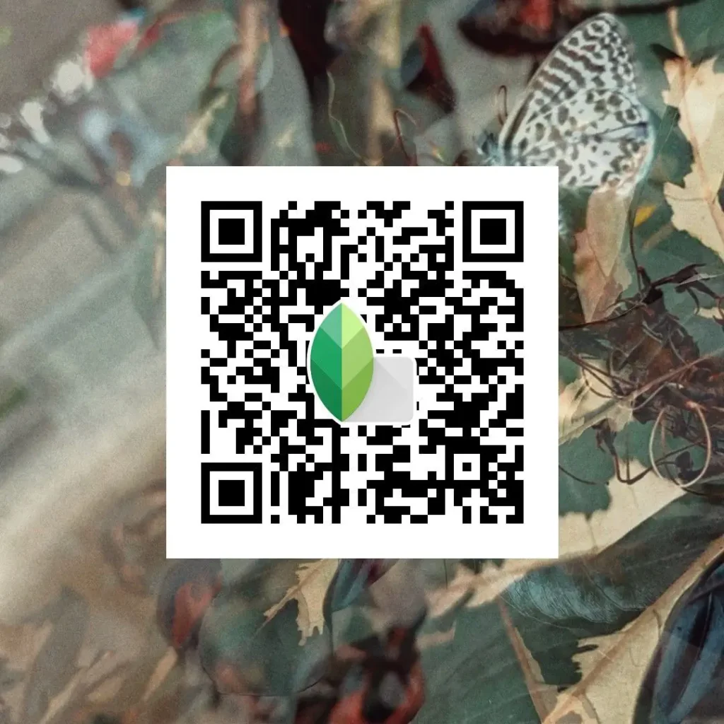 daylight black white snapseed