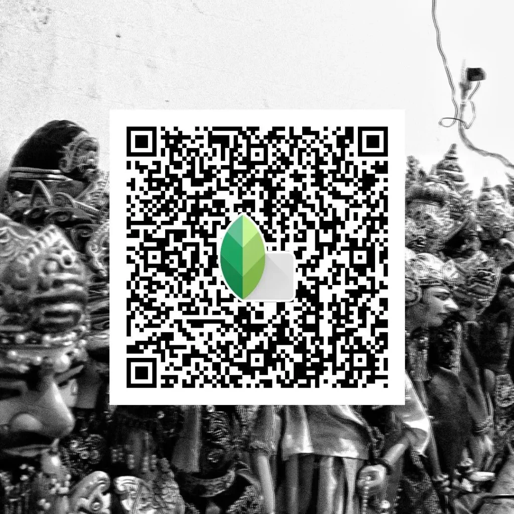 deep black monochrome snapseed