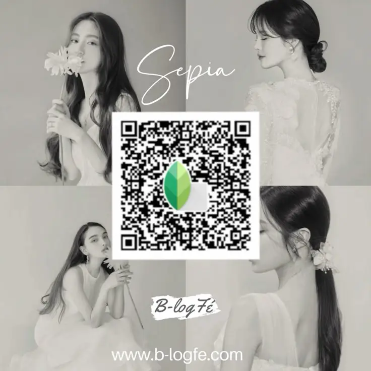 deep shadow bw snapseed edit