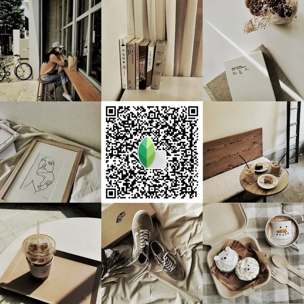 indoor black white snapseed preset