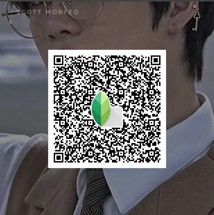 light tone monochrome snapseed