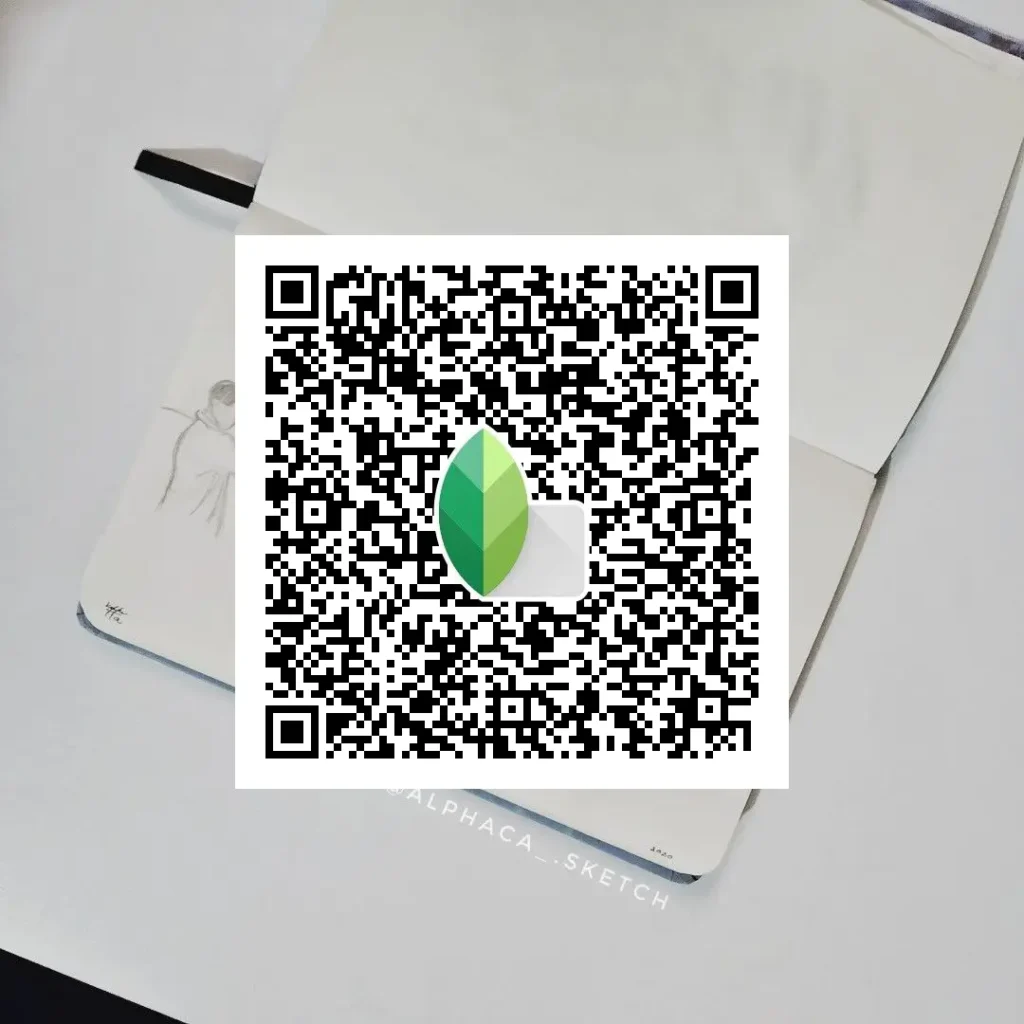 low light bw snapseed preset