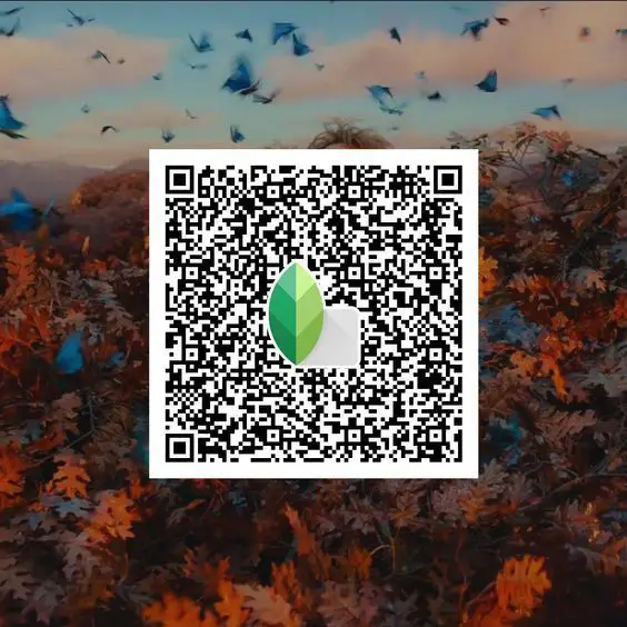 low white point bw snapseed