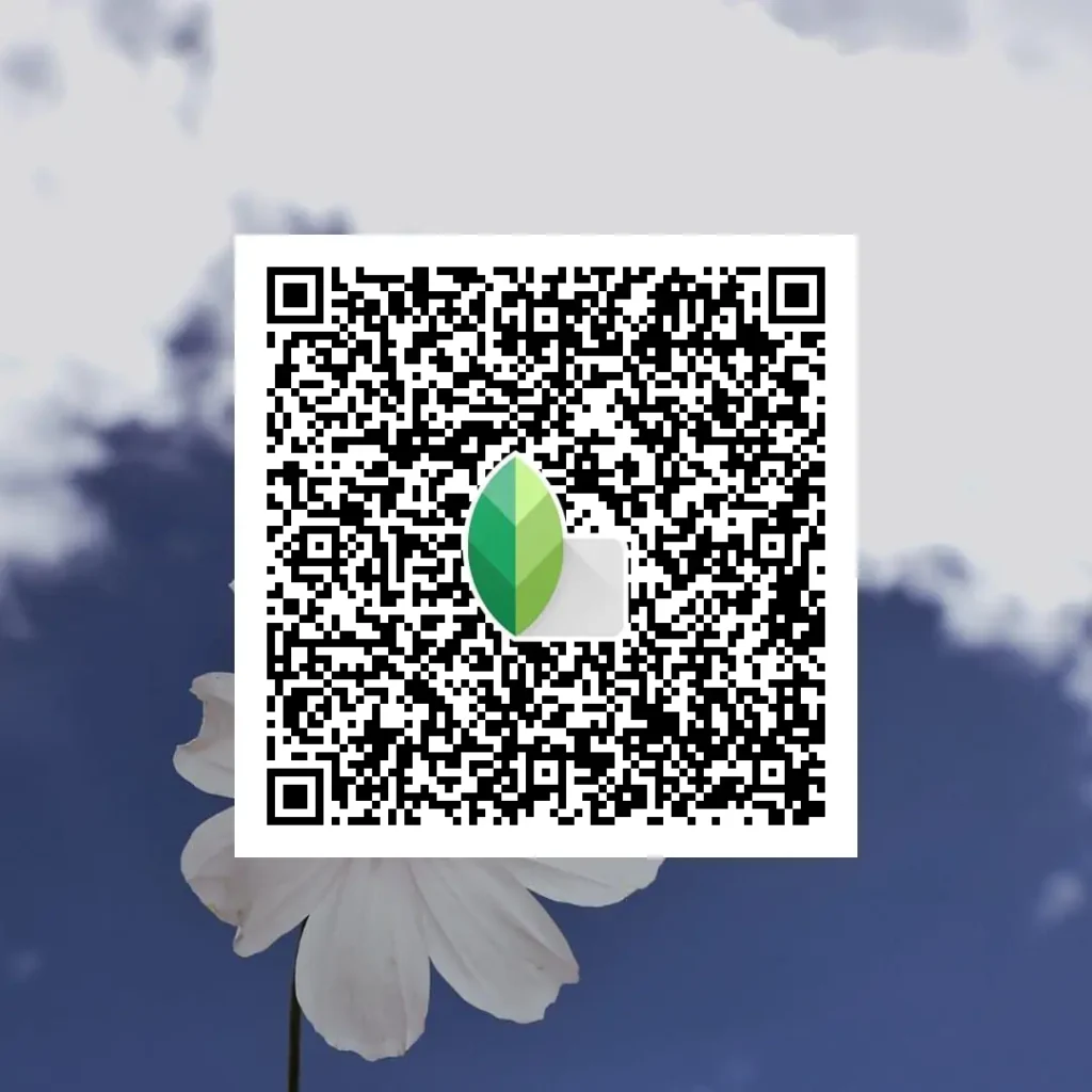 natural light bw snapseed qr