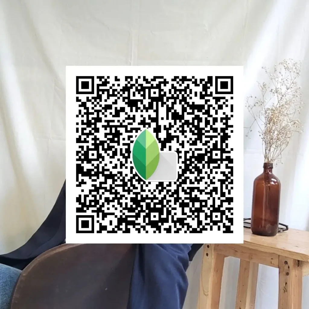 flat black white snapseed preset