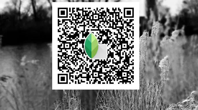 simple texture bw qr code