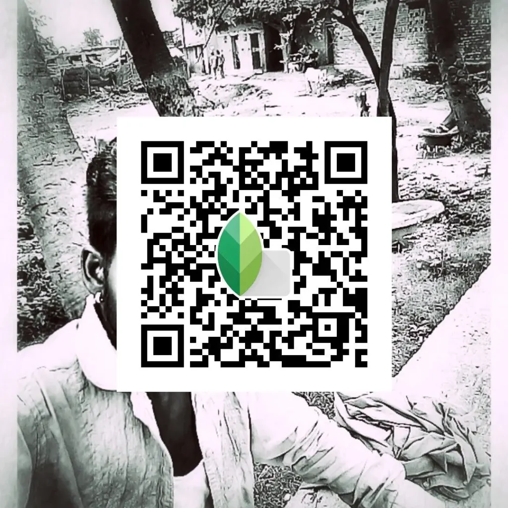 snapseed black and white qr code presets